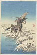Ohara, Koson - Entenschwarm über schneebedecktem Röhricht