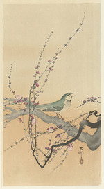 Ohara, Koson - Singvogel und Pflaumenblüte