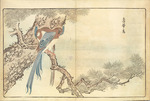 Kitao, Masayoshi - Illustration aus Bilder importierter Vögel