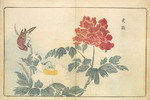 Kitao, Masayoshi - Illustration aus Bilder importierter Vögel