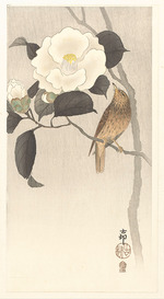 Ohara, Koson - Singvogel und blühende Kamelie