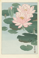 Ohara, Koson - Seerosen