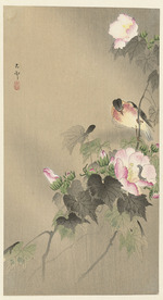 Ohara, Koson - Vogel und Raupe