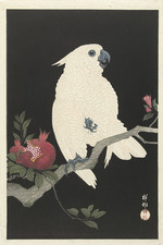 Ohara, Koson - Kakadu und Granatapfel