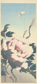 Ohara, Koson - Pfingstrose mit Schmetterling