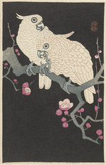 Ohara, Koson - Zwei Kakadus auf Ast mit Pflaumenblüten