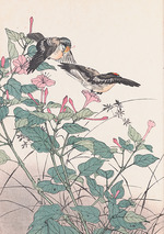 Keinen, Imao - Blumen und Vögel der Vier Jahreszeiten (Keinen Kacho Gafu)