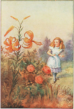 Tenniel, Sir John - Wir können reden, sagte die Tigerlilie