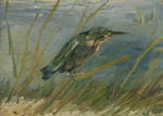 Gogh, Vincent, van - Eisvogel