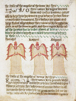 Unbekannter Künstler - Engel von Saturn, Jupiter, Mars, Sonne und Venus. Aus The Sworn Book of Honorius (BL Royal 17 A)