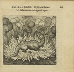 Merian, Matthäus, der Ältere - Emblem 29. Wie der Salamander lebt im Feuer, also auch der Stein. Aus Atalanta fugiens von Michael Maier