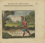 Merian, Matthäus, der Ältere - Emblem 6. Säet nur Gold in die weiße geblätterte Erden. Aus Atalanta fugiens von Michael Maier