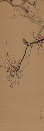 Seitei (Shotei), Watanabe - Japanische Nachtigall, auf einem roten Pflaumenzweig