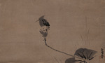 Tsunenobu, Kano - Ein Eisvogel