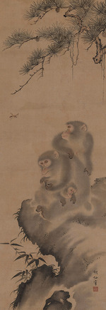 Sosen, Mori - Affenfamilie