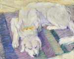 Marc, Franz - Liegender Hund (Hundeporträt von Russi)