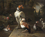 Weenix, Jan, der Jüngere - Exotische Vögel in einem Park
