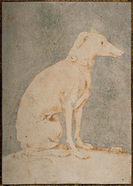 Parmigianino - Windhund