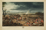 Dubourg, Matthew - Das Schlachtfeld von Waterloo