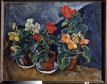 Konchalovsky, Pyotr Petrovich - Begonias