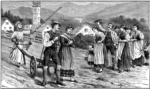 Anonymous - Wedding ploughing ceremony in Styria