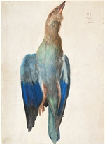 Dürer, Albrecht - Dead Blue Roller