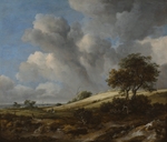 Ruisdael, Jacob Isaacksz, van - A Cornfield with the Zuiderzee in the background