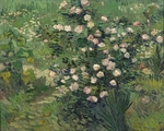 Gogh, Vincent, van - Roses