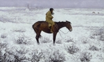 Remington, Frederic Sackrider - The Herd Boy