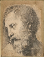 Raphael (Raffaello Sanzio da Urbino) - Head of An Apostle (Study for Transfiguration)