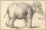 Rembrandt van Rhijn - An Elephant