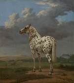 Potter, Paulus - Piebald Horse