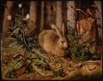 Hoffmann, Hans - A Hare in the Forest