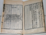 Anonymous master - Turtle War Ship (Book Of Yi Sun-sin)