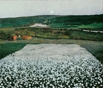 Sohlberg, Harald - Flower Meadow in the North