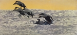Liljefors, Bruno Andreas - Morning Breeze