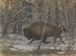 Tichmenev, Evgeny Alexandrovich - The wood bison