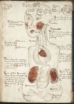 Anonymous - Representation of an Aristotelian Theory of Consciousness (From: De corpore et anima)