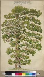 Anonymous - The family tree of Mikhail Lermontov