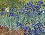 Gogh, Vincent, van - Irises