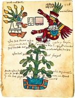Pre-Columbian art - Cacao tree from the Codex Tudela