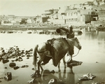 Yermakov, Dmitri Ivanovich - A Watering place
