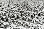Russian Photographer - Parade of the Young Communist. Moscow