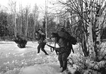 Anonymous - Red Army soldiers in a forest. The Winter War. 1939