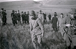 Anonymous - Japanese prisoners of war. The Battle of Khalkhyn Gol