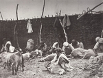 Boldyrev, Ivan Vasilyevich - Sheep shearing