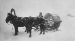 Russian Photographer - Sledge in Siberia (A Kibitka)
