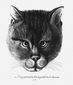 Hollar, Wenceslaus - True picture of the Cat of the Tsar Alexis I Mikhailovich of Russia