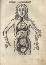 Reisch, Gregor - Margarita Philosophica. Anatomy