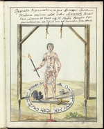 Anonymous - Compendium rarissimum totius Artis Magicae...